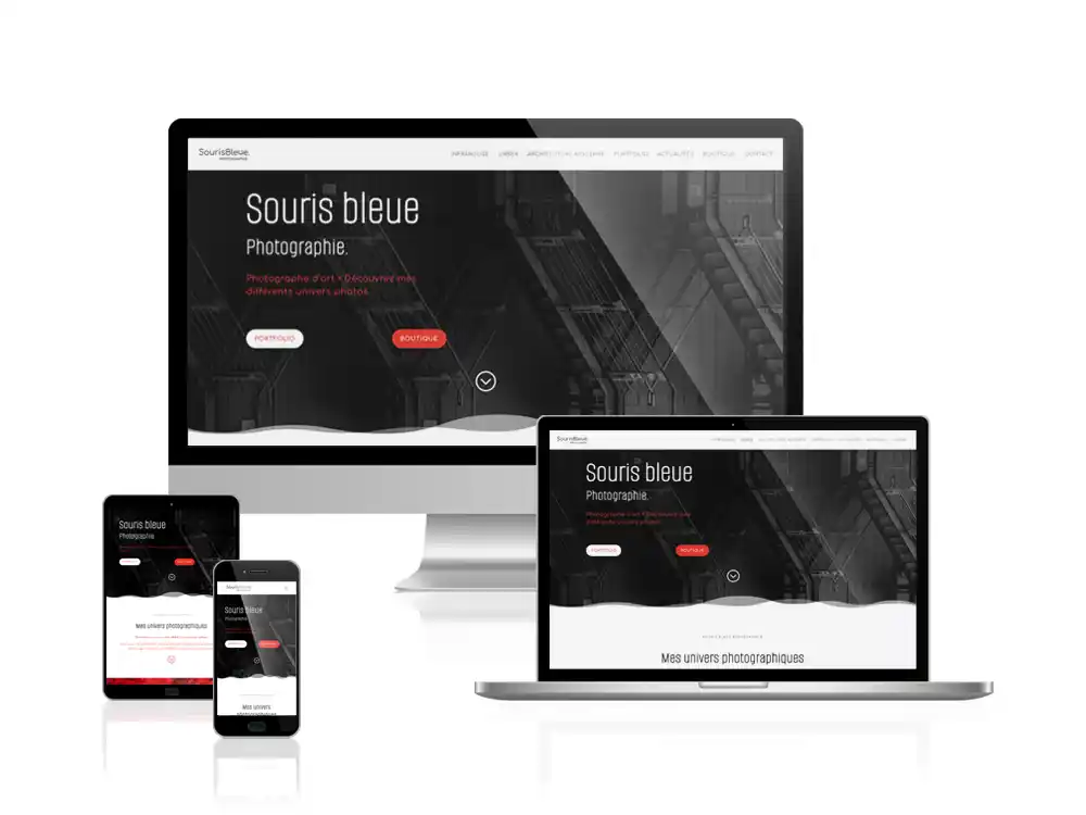 Mock up  d'écrans d'un site eco responsable 