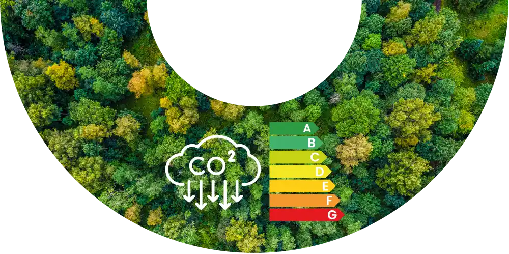 Forêt d'arbre, nuage d'empreinte carbone et note d'éco score de conception web